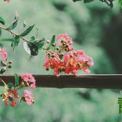 泛亚电竞APP最新版